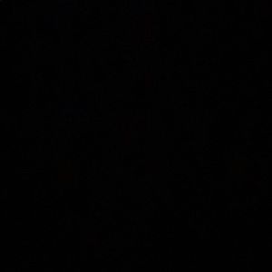 Meet your Posher, Hudson